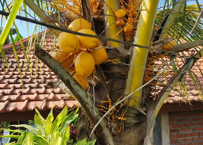 Habitación en casa particular Pengaringan Loon Gitgit