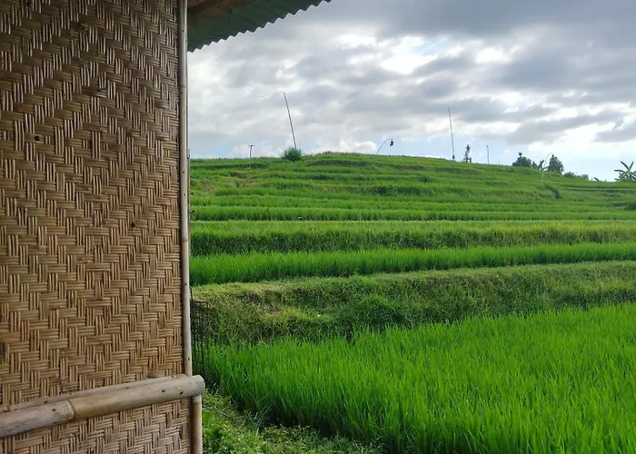 Habitación en casa particular Pengaringan Loon Gitgit