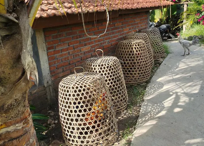 Pengaringan Loon
