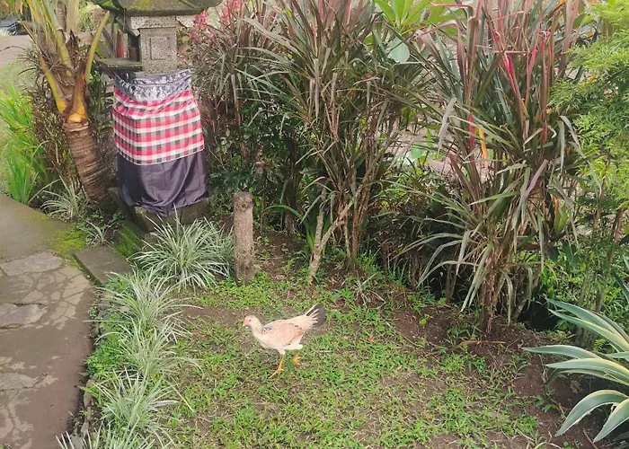 Pengaringan Loon Habitación en casa particular Gitgit